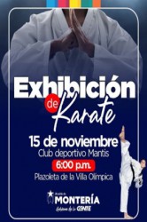 Exhibicion de Karate